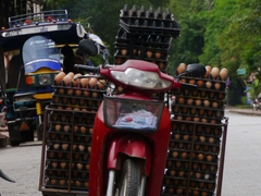 Eiertransport -  Luang Prabang - Laos